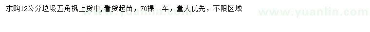 求購(gòu)12公分五角楓