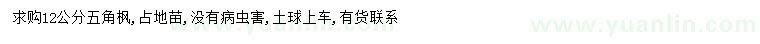 求購12公分五角楓
