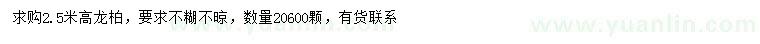 求購高2.5米龍柏