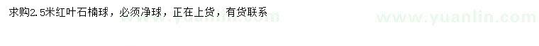 求購2.5米紅葉石楠球