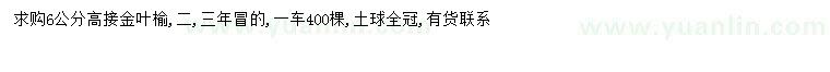 求購6公分高接金葉榆