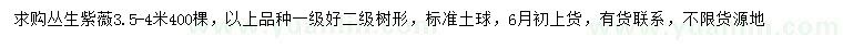 求購(gòu)3.5-4米叢生紫薇