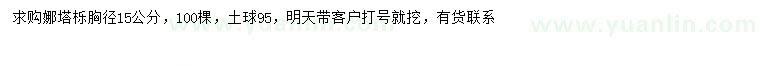 求購胸徑15公分娜塔櫟