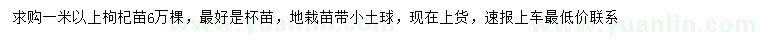 求購1米以上枸杞