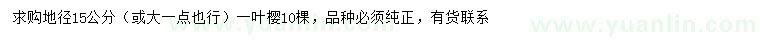 求購地徑15公分一葉櫻