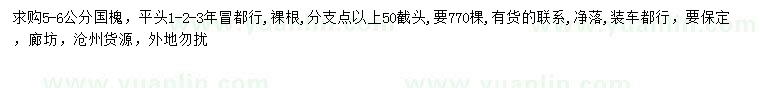 求購5-6公分國槐
