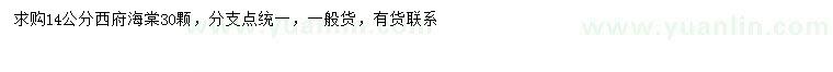 求購14公分西府海棠
