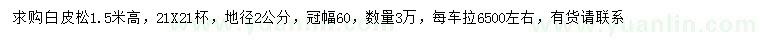 求購(gòu)高1.5米白皮松