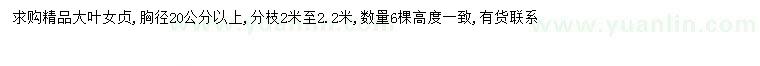 求購胸徑20公分以上大葉女貞