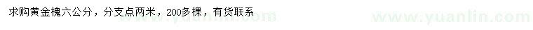 求購6公分黃金槐