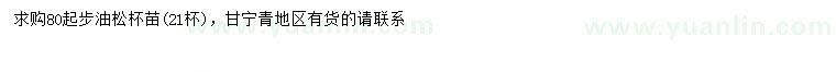 求購(gòu)80公分以上油松