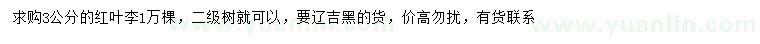 求購3公分紅葉李
