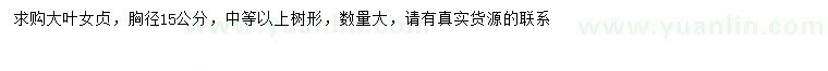 求購胸徑15公分大葉女貞