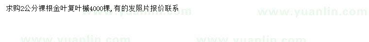 求購(gòu)2公分金葉復(fù)葉槭