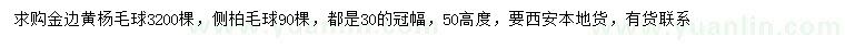 求購(gòu)冠幅30公分金邊黃楊球、側(cè)柏球