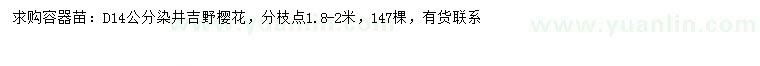 求購(gòu)地徑14公分染井吉野櫻