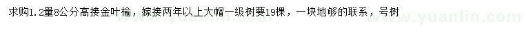 求購1.2米量8公分高接金葉榆