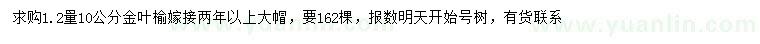 求購(gòu)1.2米量10公分金葉榆