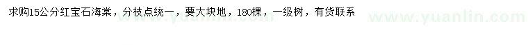 求購(gòu)15公分紅寶石海棠