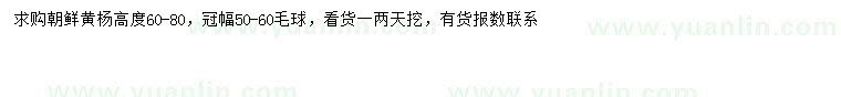 求購高60-80公分朝鮮黃楊