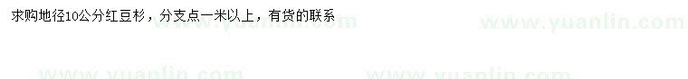 求購地徑10公分紅豆杉