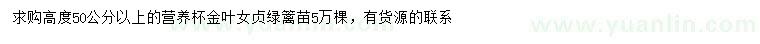 求購高50公分以上金葉女貞綠籬苗