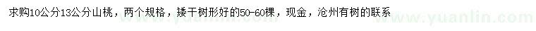 求購10、13公分山桃