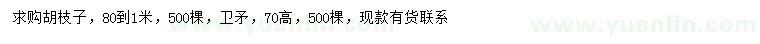 求購(gòu)0.8-1米胡枝子、高70公分衛(wèi)矛