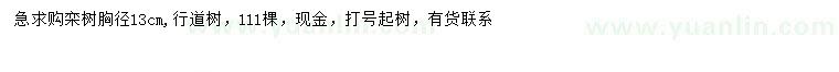 求購胸徑13公分欒樹