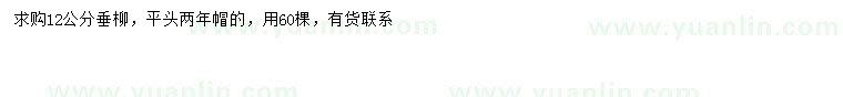 求購12公分垂柳