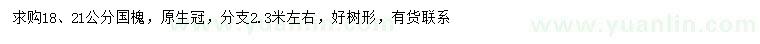 求購18、21公分國槐