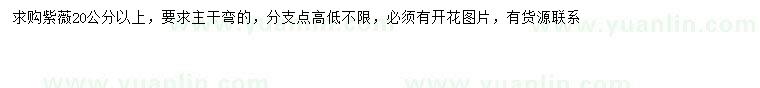 求購20公分以上紫薇