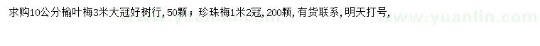 求購10公分榆葉梅、冠幅1.2米珍珠梅