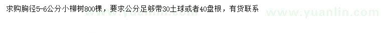 求購胸徑5-6公分柳樹