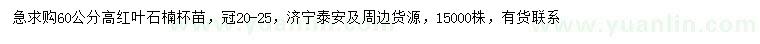 求購高60公分紅葉石楠