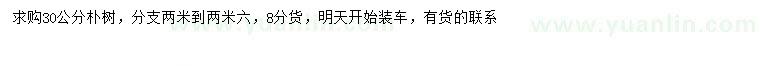 求購(gòu)30公分樸樹