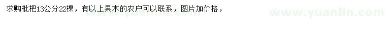求購13公分枇杷