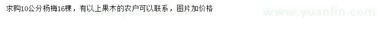 求購10公分楊梅