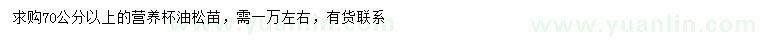 求購(gòu)70公分以上油松