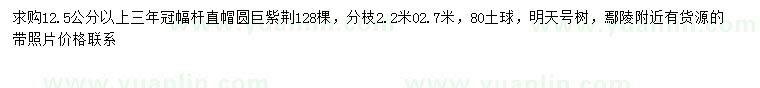 求購(gòu)12.5公分以上巨紫荊