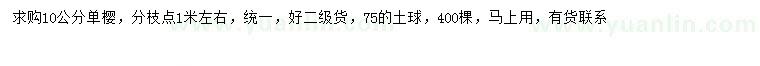 求購(gòu)10公分單櫻