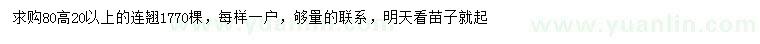 求購(gòu)高80公分連翹