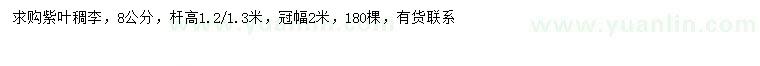 求購(gòu)8公分紫葉稠李