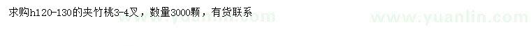 求購高120-130公分夾竹桃