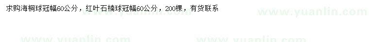 求購冠幅60公分海桐球、紅葉石楠球