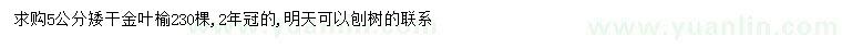求購5公分金葉榆