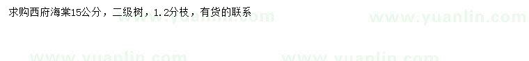 求購15公分西府海棠