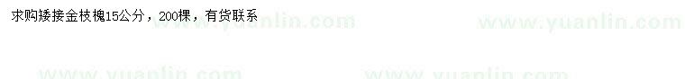 求購(gòu)15公分金枝槐