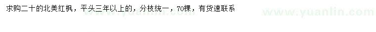 求購20公分北美紅楓