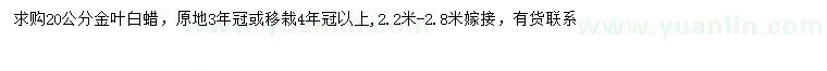 求購20公分金葉白蠟